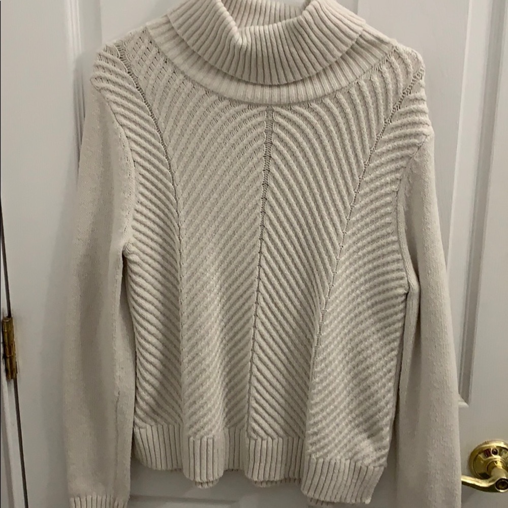 Banana Republic Turtleneck Sweater
